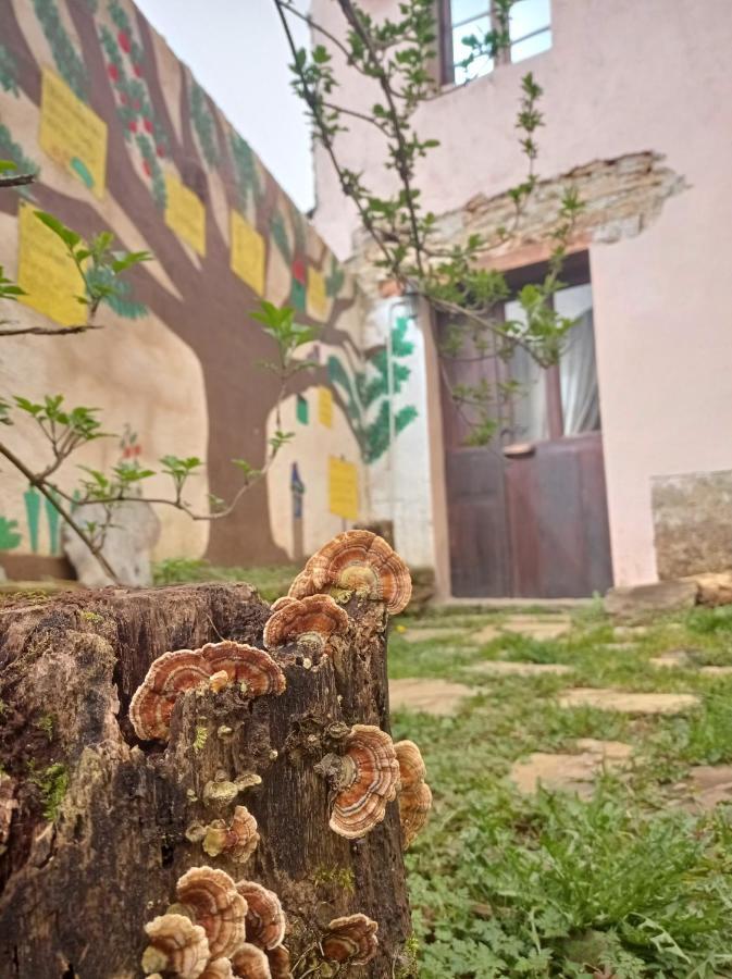 Albergue Eco El Beso - Vegano Treacastela Exterior photo